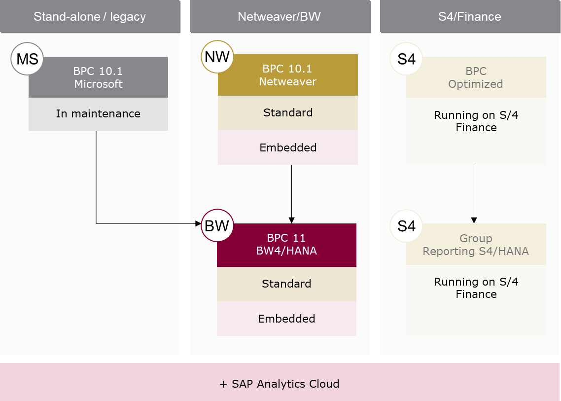 SAP BPC version stream